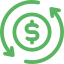 Cashflow icon